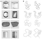 Aesthetic sensitivity to curvature in real objects and abstract designs
